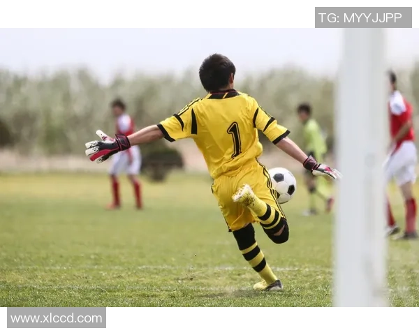 足球问话探讨如何提升青少年足球水平与兴趣的有效策略与方法