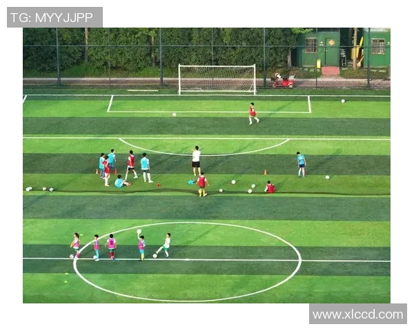 足球老太的传奇人生与她的绿茵梦想如何激励年轻一代追逐足球热情